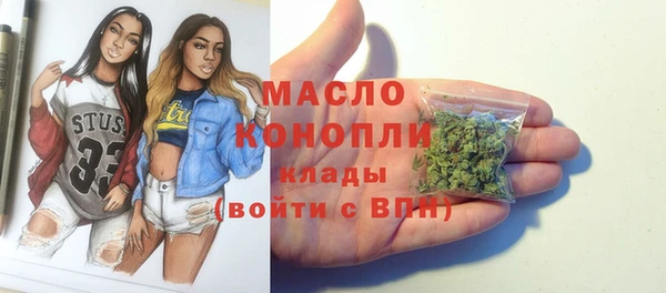 МДПВ Вяземский