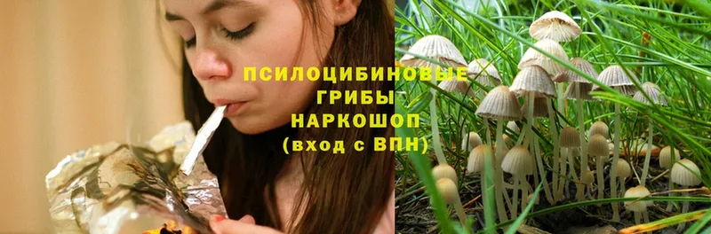 Галлюциногенные грибы Magic Shrooms  Еманжелинск 